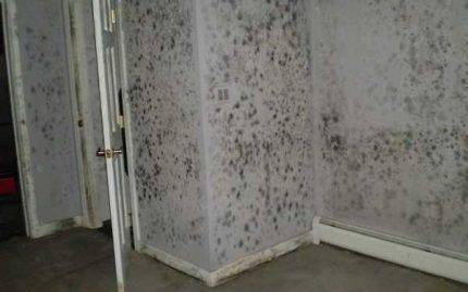 Les inconvénients et les avantages d'un humidificateur : les avantages et les inconvénients de l'utilisation d'appareils dans un appartement