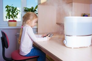Les inconvénients et les avantages d'un humidificateur : les avantages et les inconvénients de l'utilisation d'appareils dans un appartement