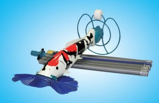 Comment choisir un aspirateur de piscine : les dix meilleurs modèles + ce qu'il faut rechercher avant d'acheter