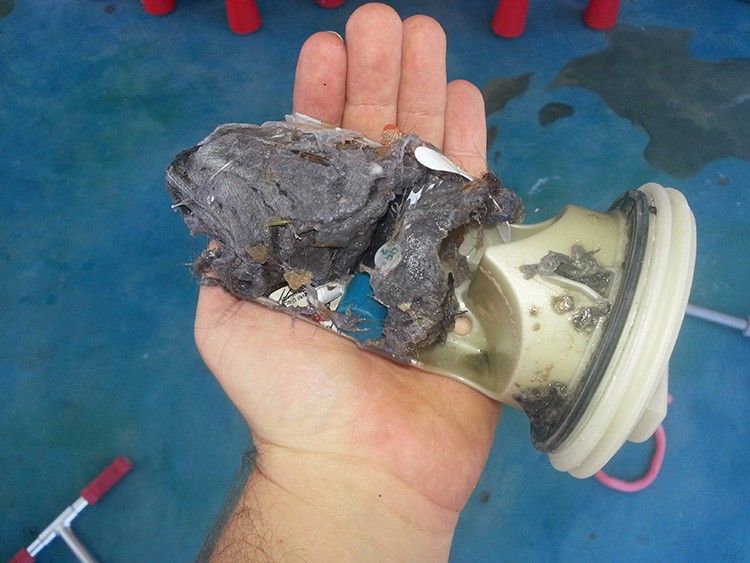 Comment vidanger correctement l'eau de la machine à laver: un guide étape par étape et de précieux conseils