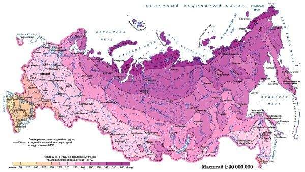 Consommation d'énergie de la chaudière à gaz : combien d'électricité est nécessaire pour faire fonctionner l'équipement standard