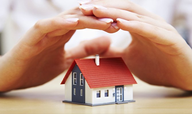 Pourquoi vous ne pouvez pas tuer les araignées : signes et faits réels