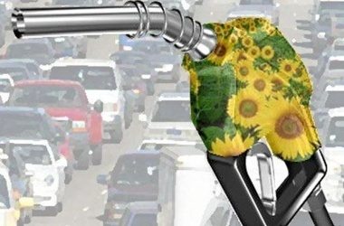 Biocarburants : comparaison des carburants solides, liquides et gazeux
