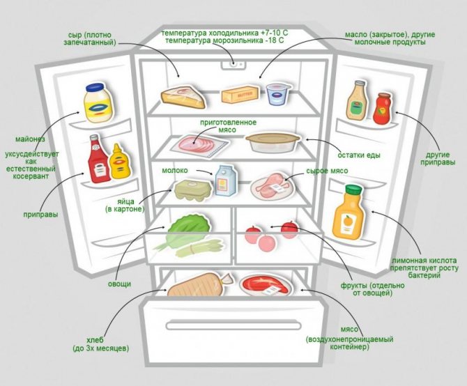 Quelle température devrait être dans le réfrigérateur, ainsi que dans le congélateur