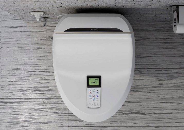 Accessoire de bidet pour les toilettes: un aperçu des types d'accessoires de bidet et des méthodes d'installation