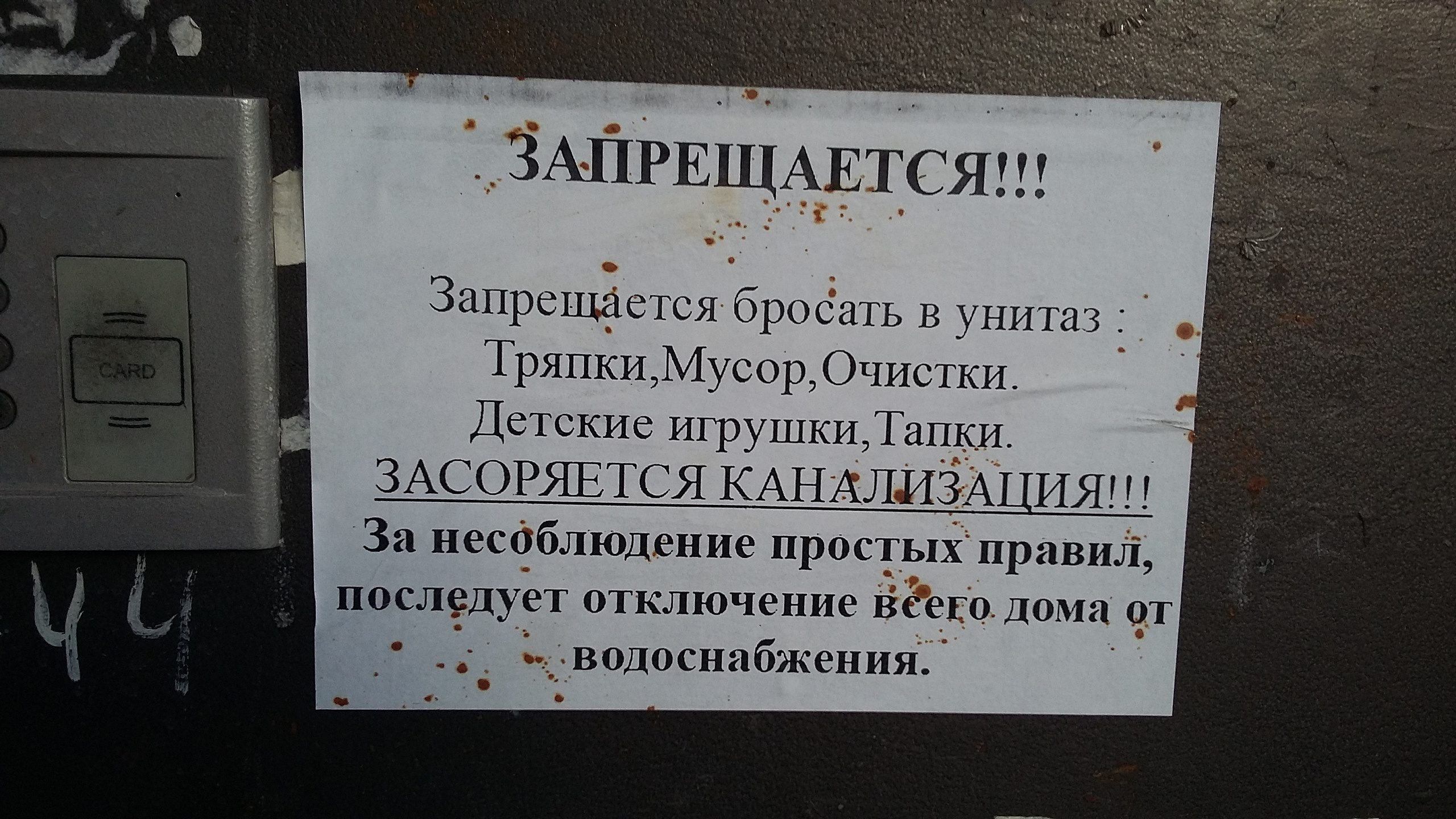Quels articles ne doivent pas être jetés dans les toilettes - les 15 choses les plus dangereuses !