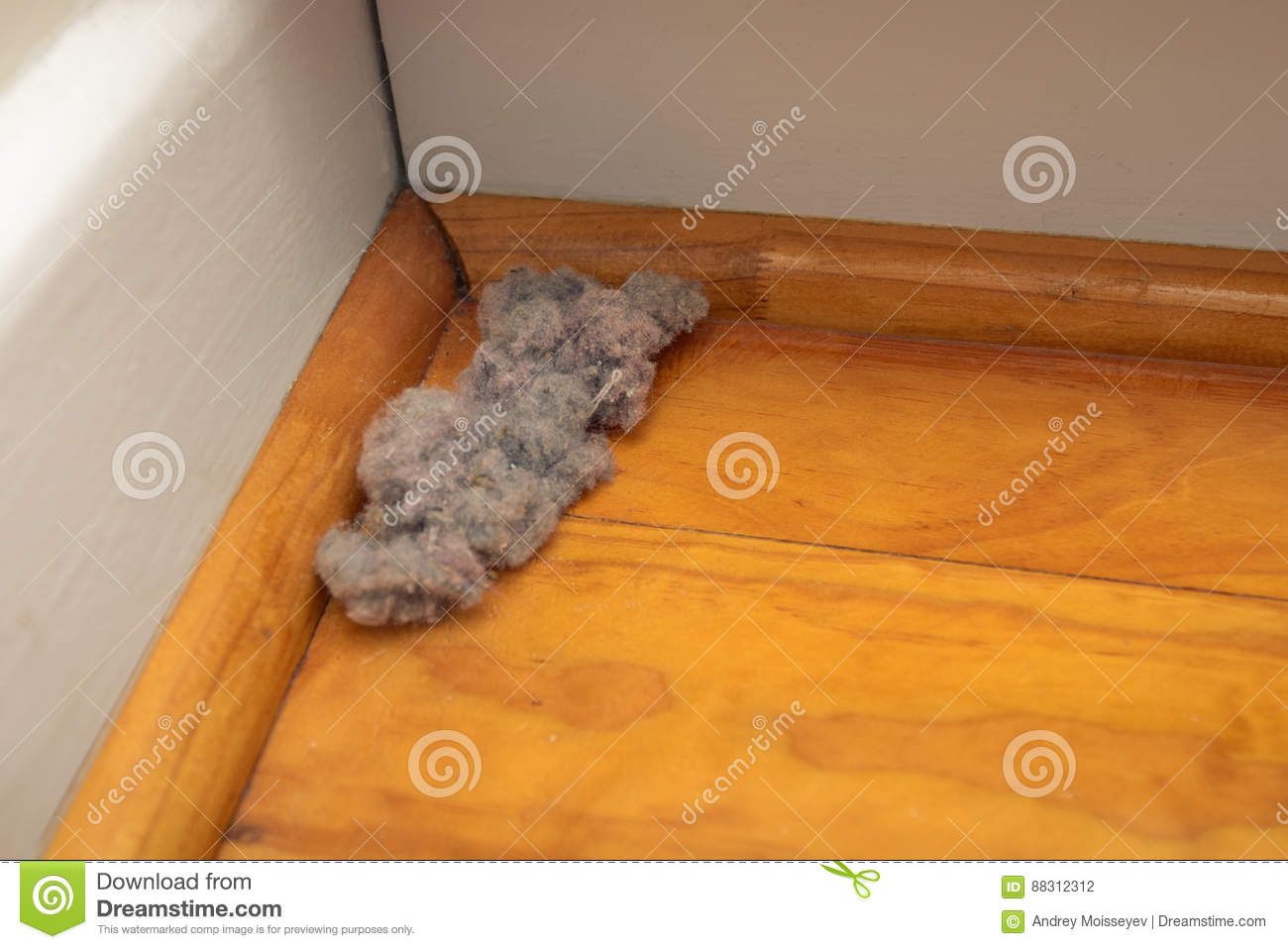 Comment se débarrasser des mangeurs de foin dans l'appartement