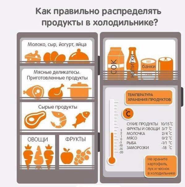 Peut-on conserver le pain au réfrigérateur ou au congélateur ?
