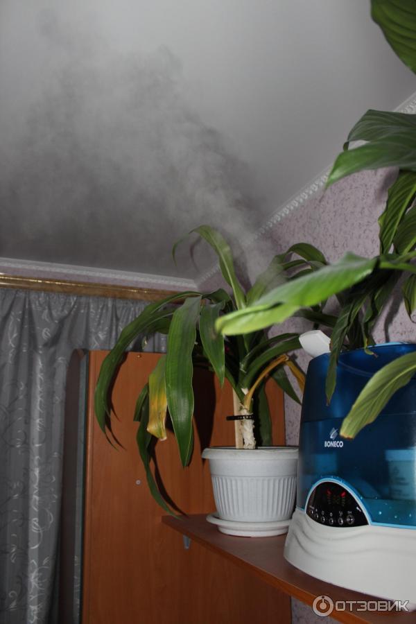 Comment humidifier l'air sans humidificateur: comment humidifier rapidement et efficacement l'air à la maison (115 photos + vidéo)