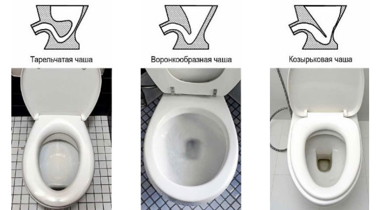 Dimensions standard des toilettes : dimensions et poids typiques des différents types de toilettes