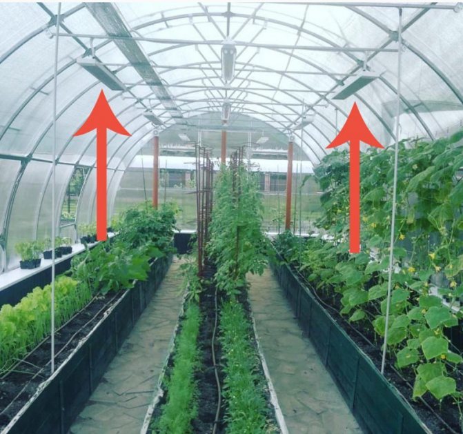 Choisir un radiateur infrarouge pour une serre