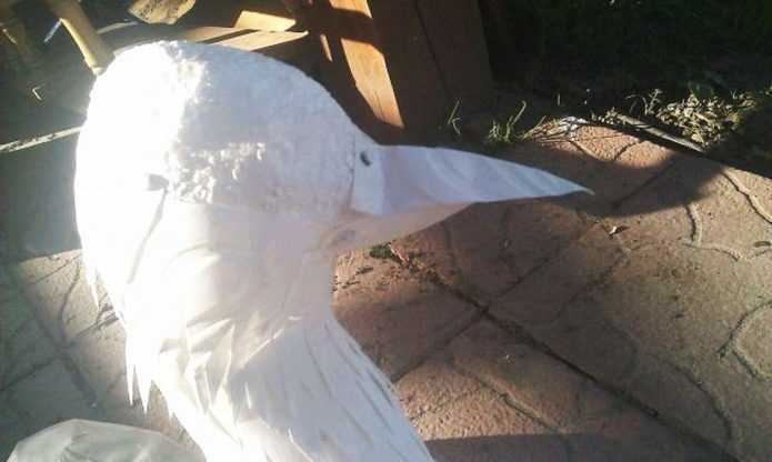 Astuces de pays à faire soi-même à partir de matériaux improvisés: idées créatives et astuces pour la fabrication