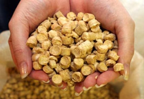 Aperçu des propriétés et des caractéristiques des briquettes de combustible RUF