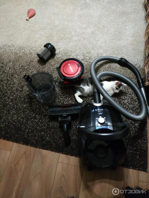 Acheter un aspirateur bosch pour la maison : 12 règles de base et nuances. faire le bon choix!