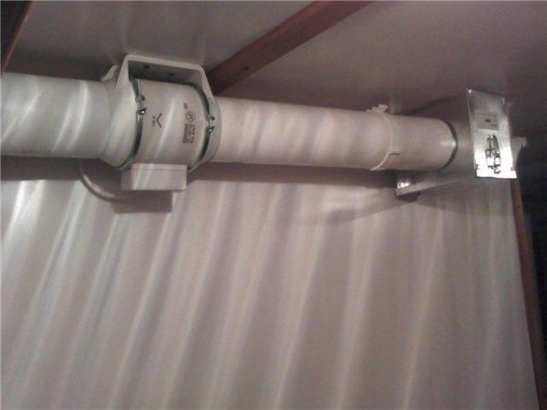 Hotte dans le poulailler: les meilleures façons d'équiper le système de ventilation de la maison