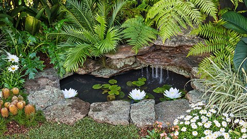 Beauté et bienfaits : comment utiliser un vieux bain à la campagne