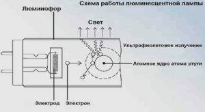 Starter pour lampes fluorescentes : appareil, principe de fonctionnement, marquage + subtilités de choix