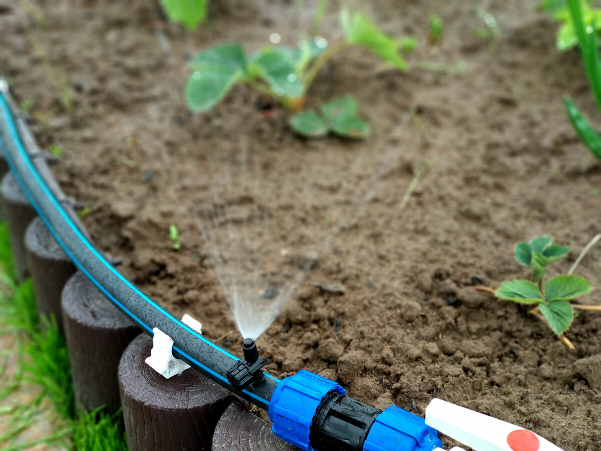 Comment nous avons fait un système d'arrosage automatique dans le pays. avantages et inconvénients de l'irrigation goutte à goutte, photo -