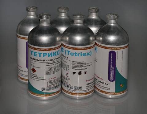 Quartier animé : pourquoi il ne faut pas détruire un nid de guêpes