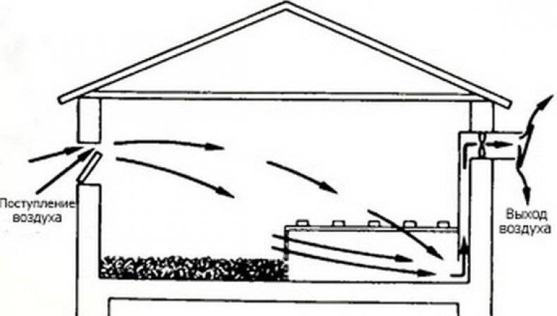 Hotte dans le poulailler: les meilleures façons d'équiper le système de ventilation de la maison