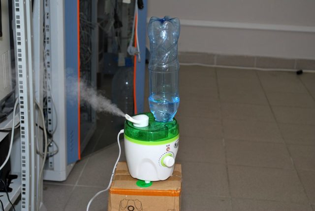 Humidifier l'air de l'appartement sans humidificateur