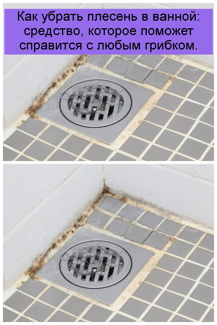Moisissure noire dans la salle de bain : comment se débarrasser du champignon + des moyens efficaces pour combattre et prévenir