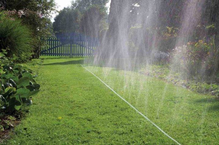 Buse pour tuyau d'irrigation : directives de sélection + aperçu des produits des marques populaires