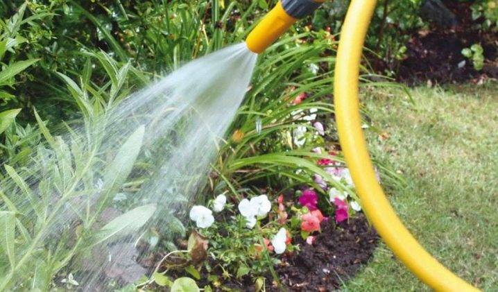 Buse pour tuyau d'irrigation : directives de sélection + aperçu des produits des marques populaires