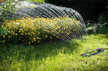 Caractéristiques de la sélection d'une pompe pour arroser le jardin, en fonction de la source de prise d'eau