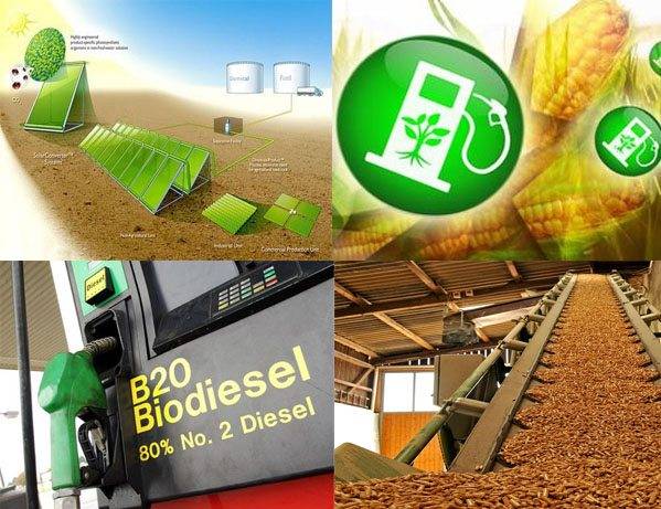 Installation de biogaz à faire soi-même pour une maison privée