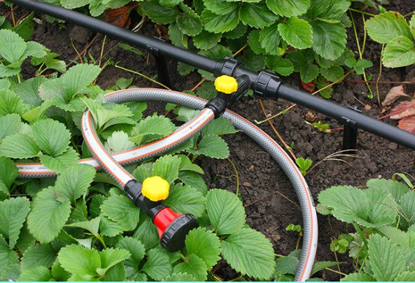Système d'arrosage automatique: photo, vidéo, comment faire un arrosage automatique dans le pays