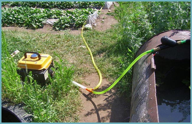 Types de pompes pour l'irrigation de jardin : surface et submersible, comment choisir la meilleure, évaluation des meilleurs modèles et conseils d'experts