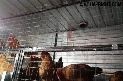 Comment faire un système de ventilation dans un poulailler