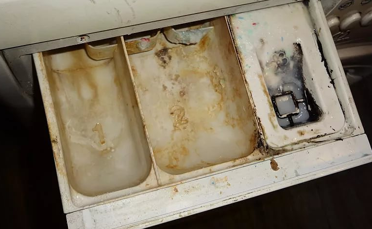 Comment se débarrasser de la moisissure dans la machine à laver avec des moyens improvisés à la maison