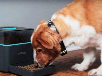 Chauffage dans une maison intelligente : appareil et principe de fonctionnement + conseils pour organiser un système intelligent