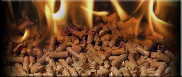 Comment fabriquer du biocarburant de vos propres mains