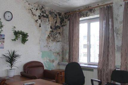 Comment ne pas s'enliser dans la graisse: on nettoie la hotte de ventilation et d'évacuation dans la cuisine