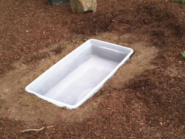 Beauté et bienfaits : comment utiliser un vieux bain à la campagne