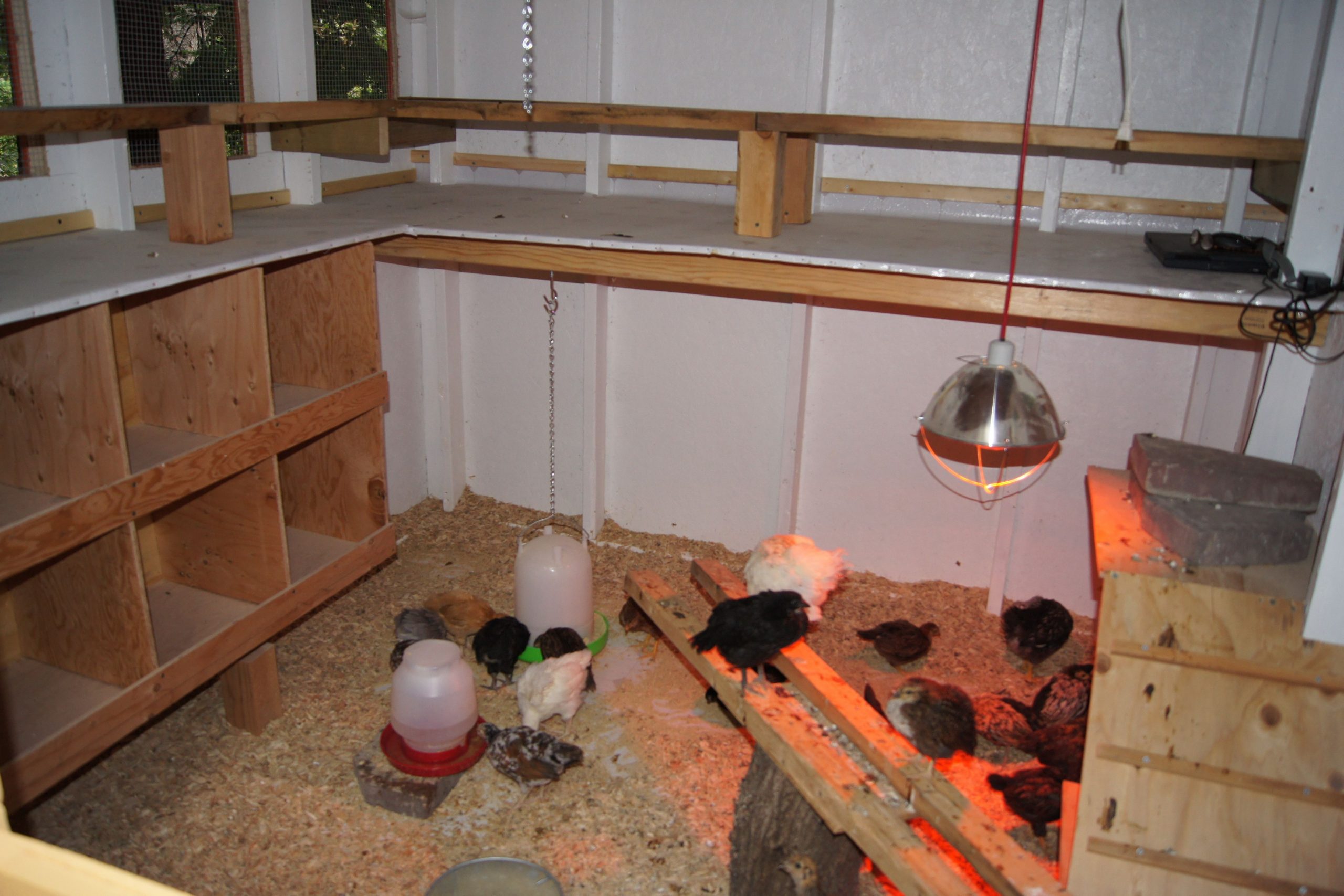 Ventilation dans le poulailler (33 photos): comment fabriquer soi-même une hotte selon le schéma, comment cela fonctionne en hiver sans électricité et comment connecter correctement le ventilateur