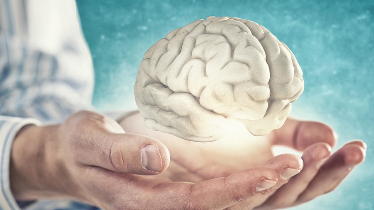 Changements liés à l'âge dans le cerveau après 50 ans