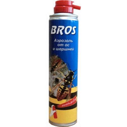 Quartier animé : pourquoi il ne faut pas détruire un nid de guêpes