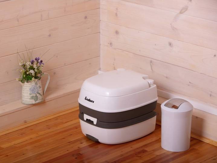 Comment nettoyer un placard sec: caractéristiques du nettoyage des types de tourbe et de liquide des placards secs