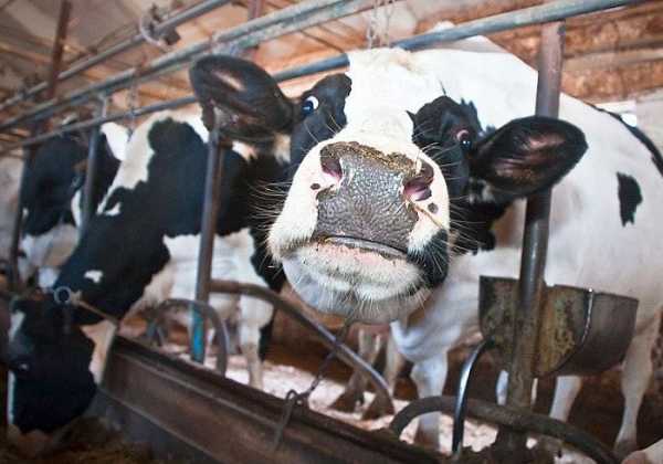 Un bon exemple de chaufferie bien équipée