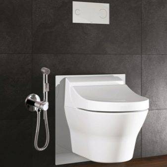 Accessoire de bidet pour les toilettes: un aperçu des types d'accessoires de bidet et des méthodes d'installation