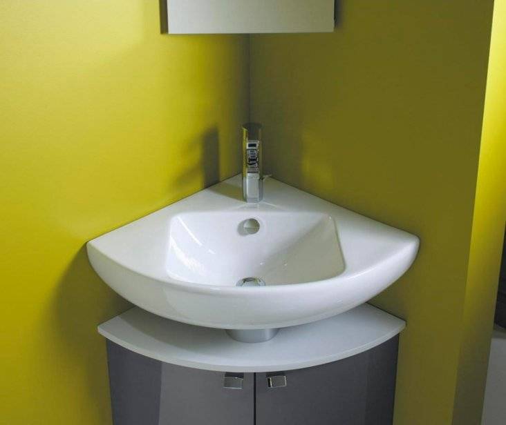 Double vasque : un aperçu des sanitaires insolites + un exemple de travaux d'installation