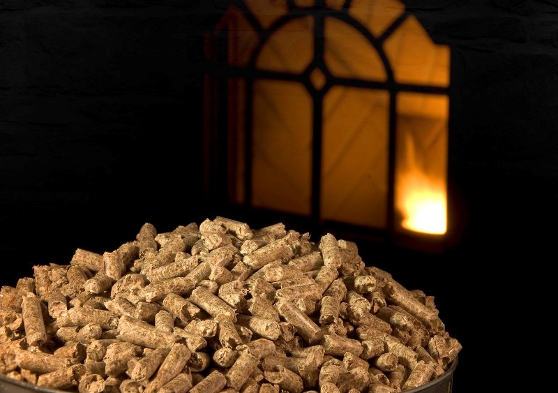 Qu'est-ce que les pellets (granulés de carburant): programme éducatif d'un amateur estimata