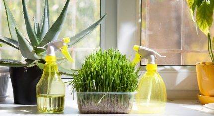 Humidificateur à ultrasons : avantages et inconvénients, recommandations pour les acheteurs