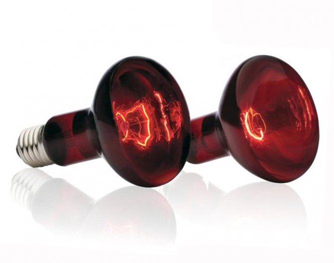 L'utilisation de lampes infrarouges pour le chauffage des locaux