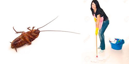 9 façons d'utiliser l'ammoniac pour faciliter le nettoyage