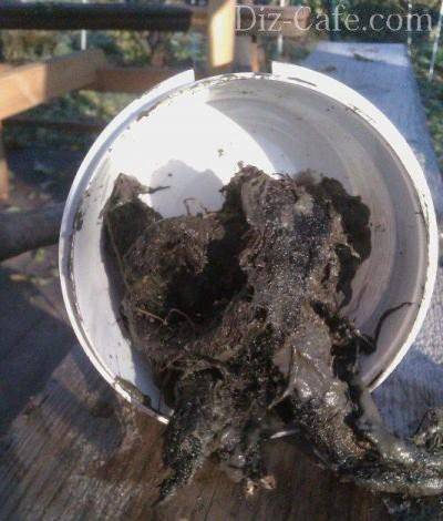 Pourquoi y a-t-il de l'eau trouble ou jaune dans le puits: causes de la pollution et méthodes pour leur élimination